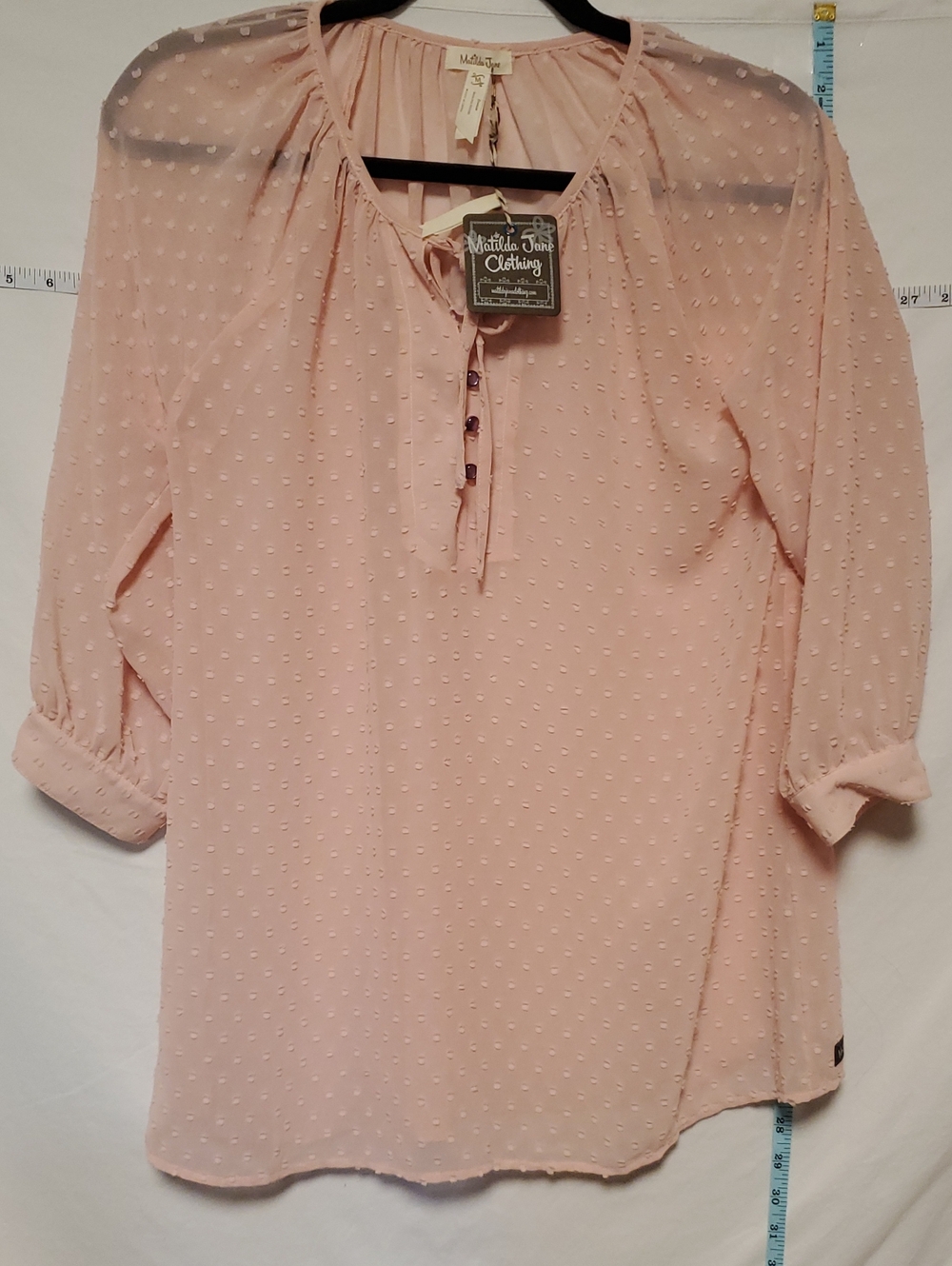 Matilda Jane New Blush Pink Swiss Dot Sheer Blouse Med Brunch Tea Party Feminine